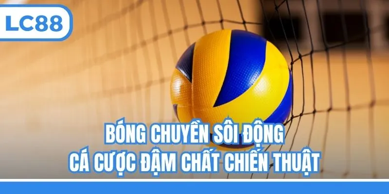 Bóng chuyền sôi động, cá cược đậm chất chiến thuật