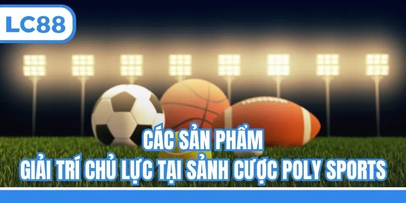 Các sản phẩm giải trí chủ lực tại sảnh cược Poly Sports