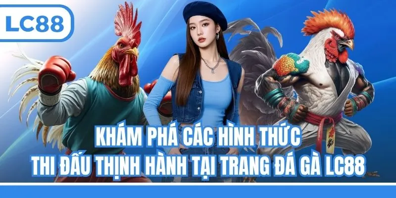 Khám phá các hình thức thi đấu thịnh hành tại trang đá gà LC88